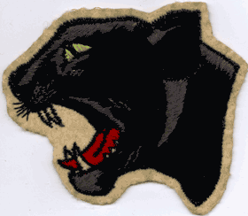 image of Antioch High School sweater patch of the panther mascot